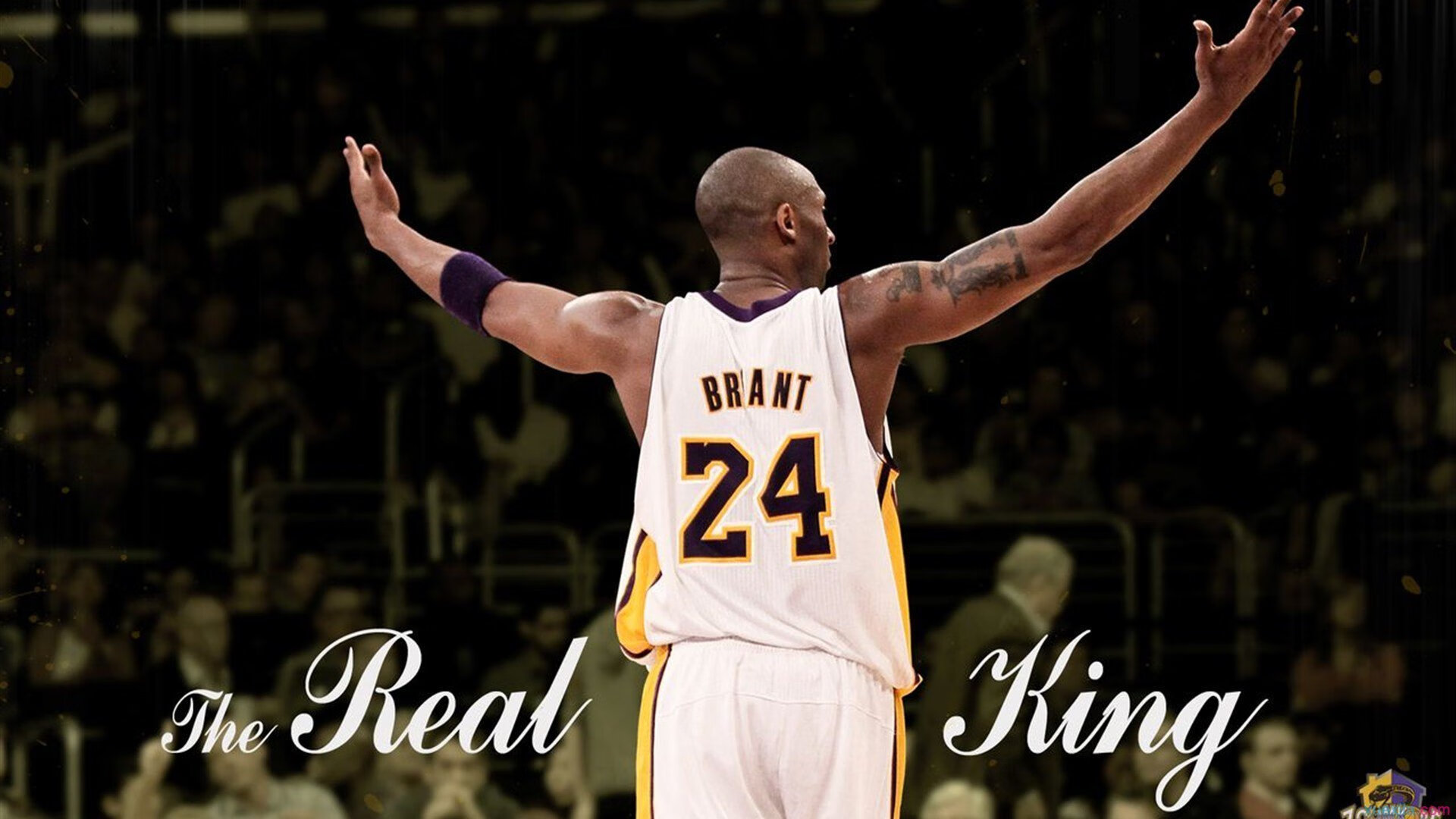 短道速滑世锦赛激战正酣 中国队力夺混合接力金牌