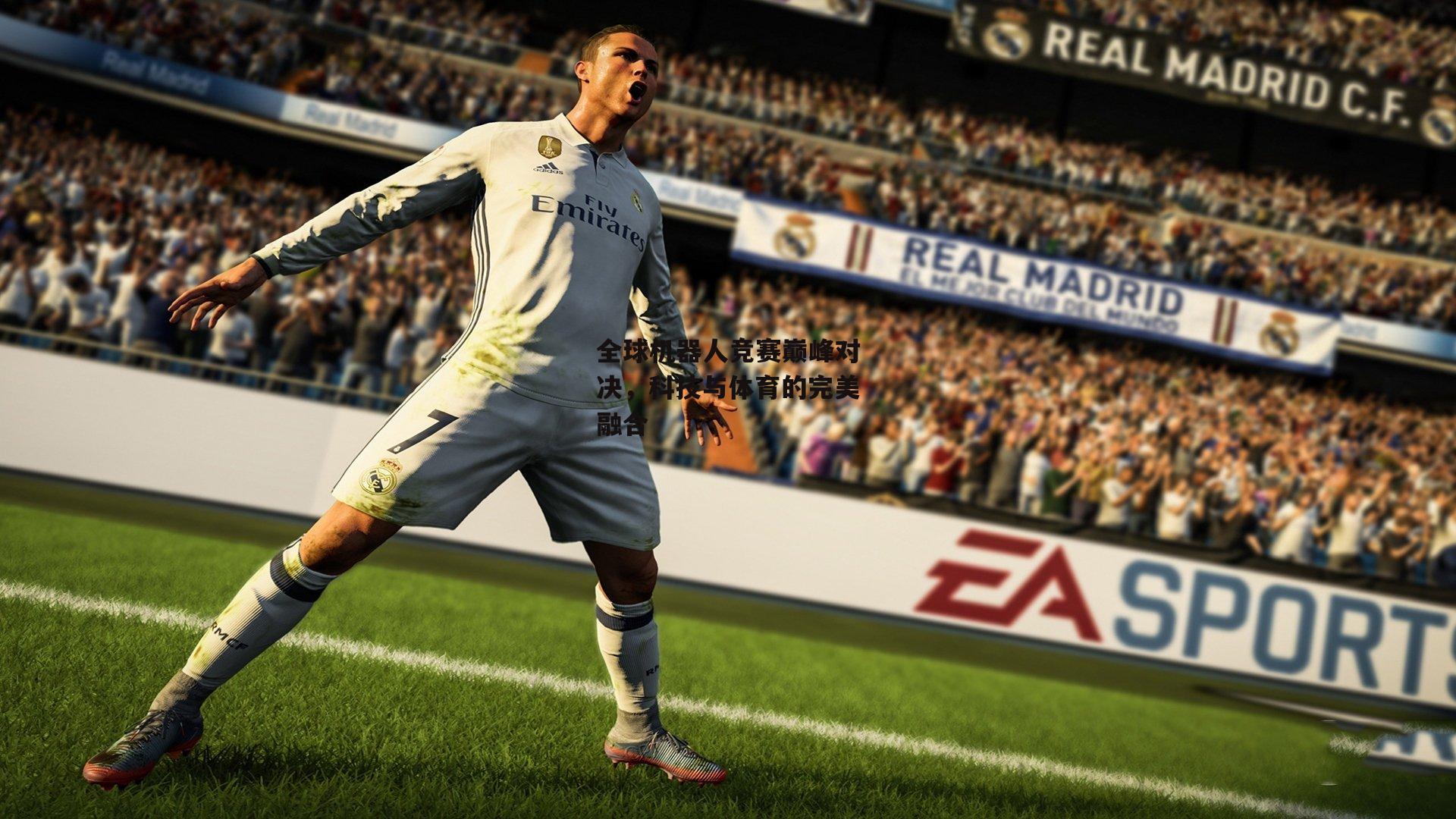 全球机器人竞赛巅峰对决,科技与体育的完美融合