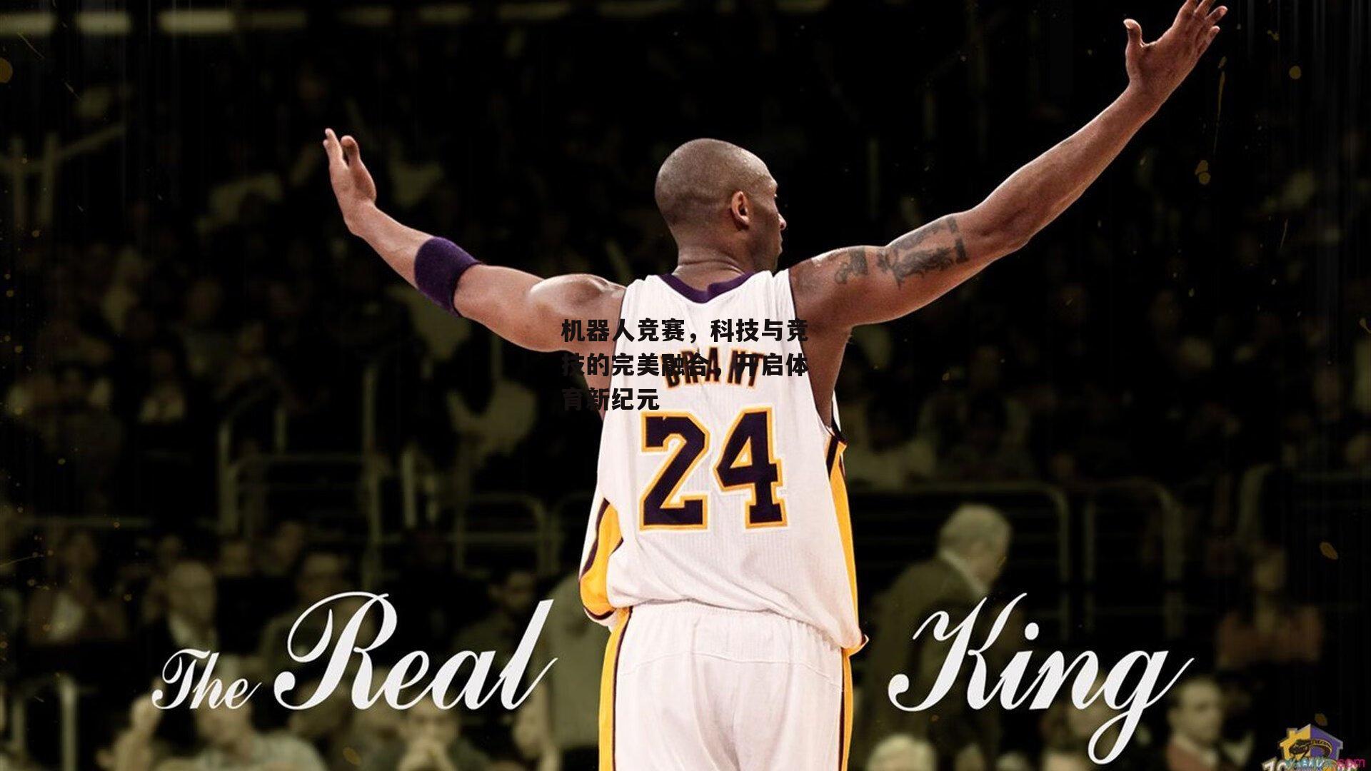 机器人竞赛，科技与竞技的完美融合，开启体育新纪元